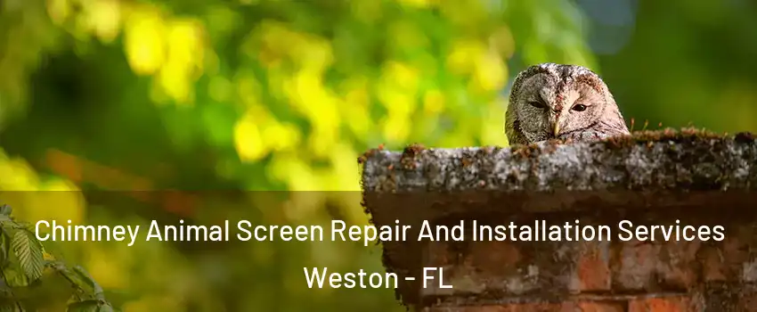  Chimney Animal Screen Repair And Installation Services Weston - FL