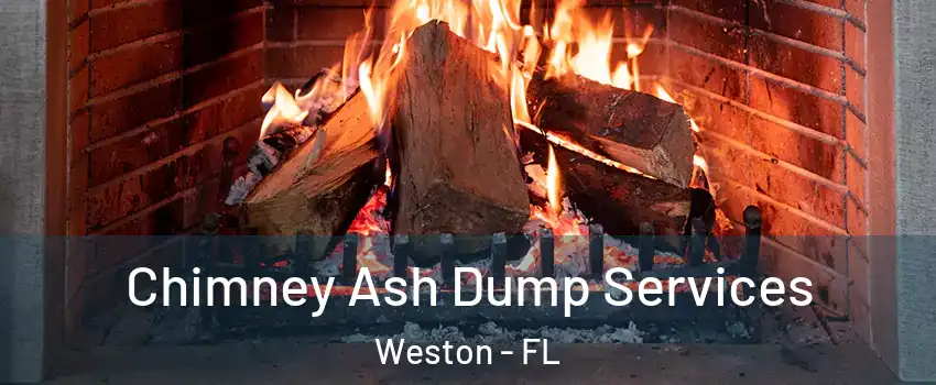  Chimney Ash Dump Services Weston - FL