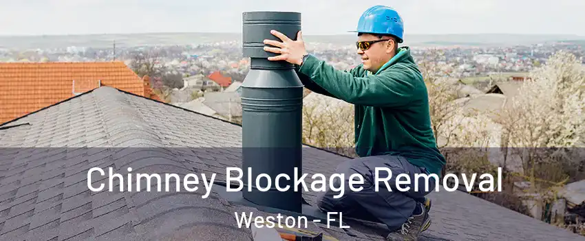  Chimney Blockage Removal Weston - FL