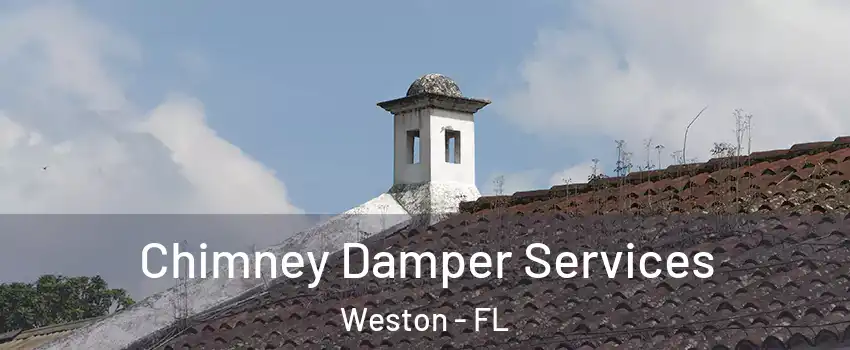  Chimney Damper Services Weston - FL