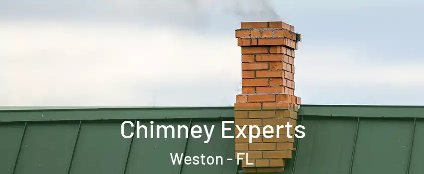  Chimney Experts Weston - FL