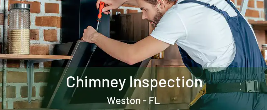  Chimney Inspection Weston - FL
