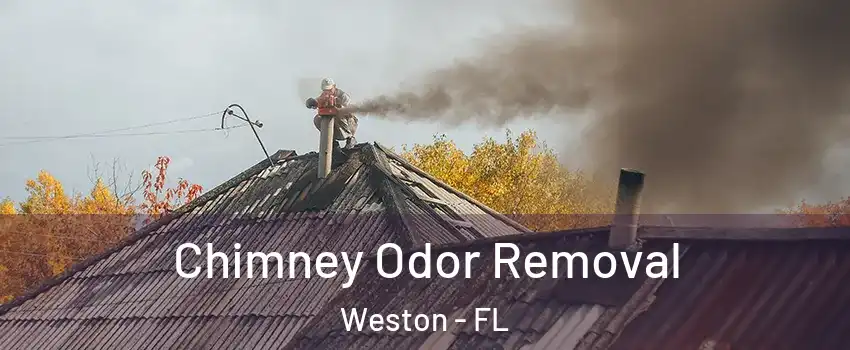  Chimney Odor Removal Weston - FL