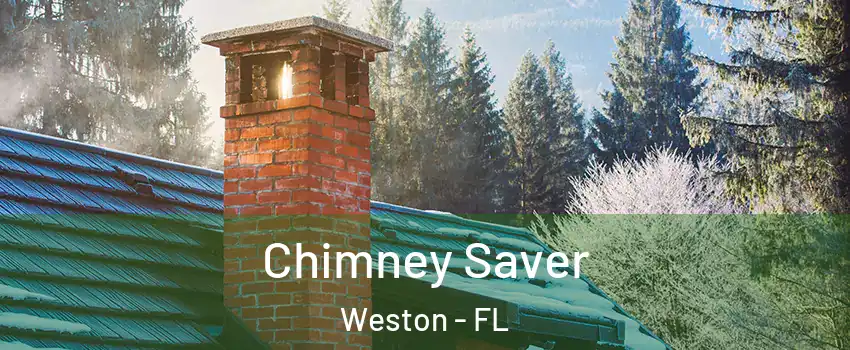  Chimney Saver Weston - FL
