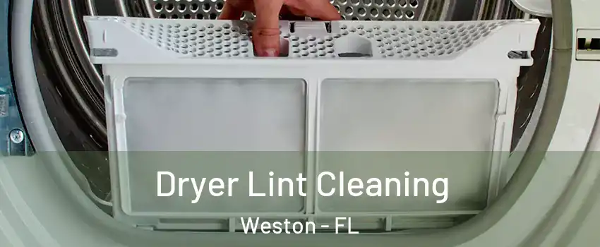  Dryer Lint Cleaning Weston - FL