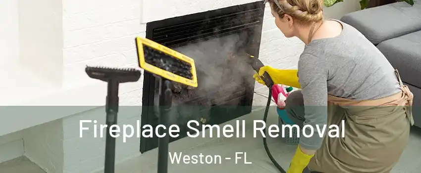  Fireplace Smell Removal Weston - FL
