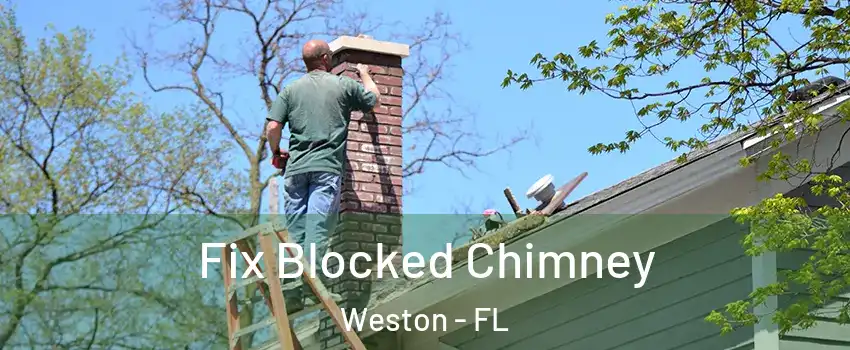  Fix Blocked Chimney Weston - FL