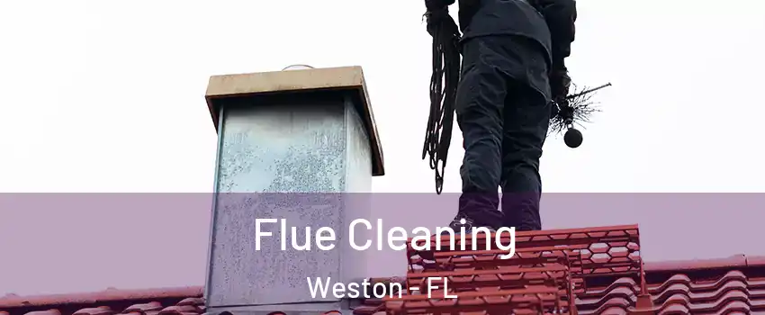  Flue Cleaning Weston - FL