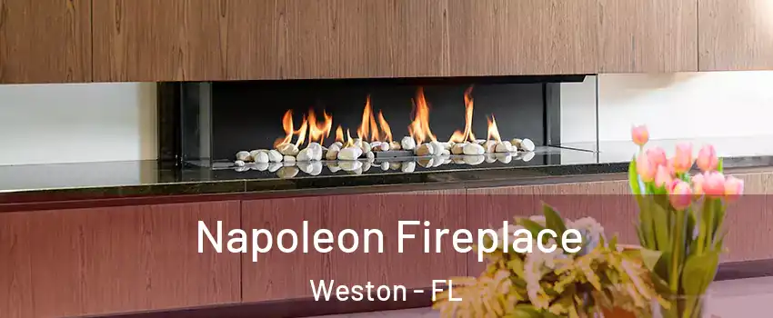  Napoleon Fireplace Weston - FL