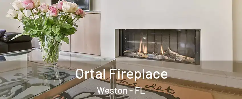 Ortal Fireplace Weston - FL