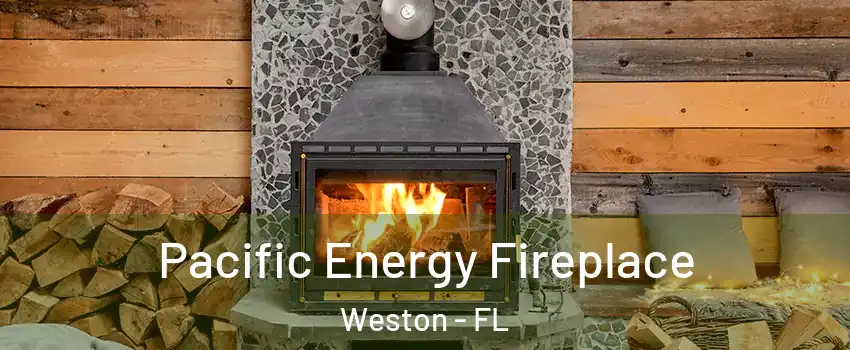  Pacific Energy Fireplace Weston - FL